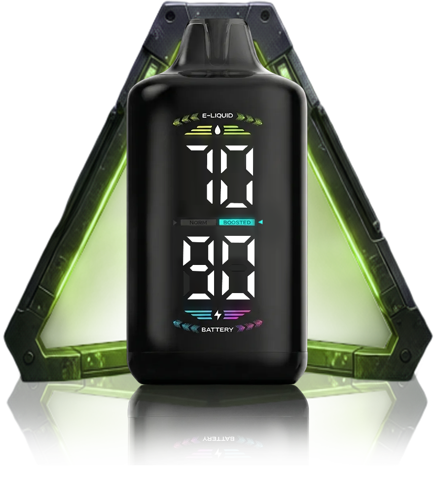 OLED DISPLAY