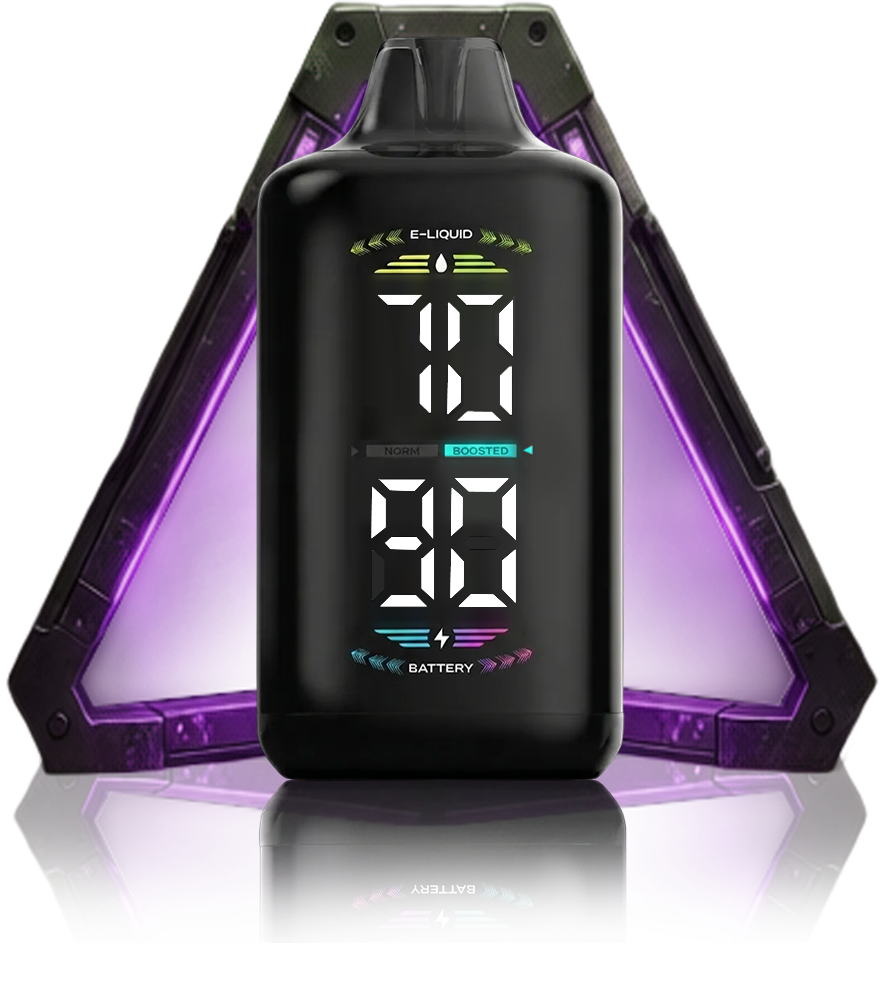 OLED DISPLAY