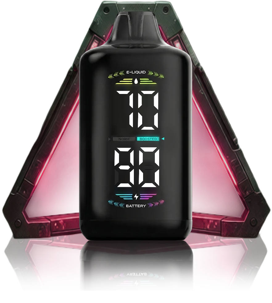 OLED DISPLAY