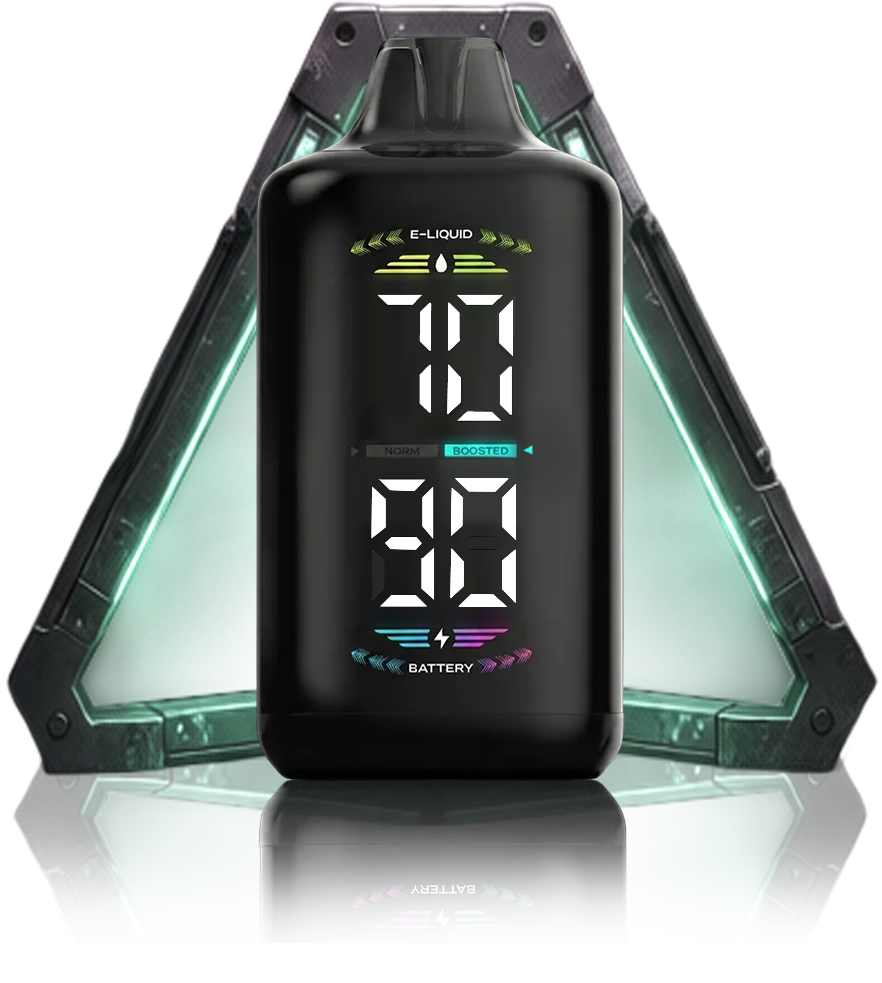OLED DISPLAY