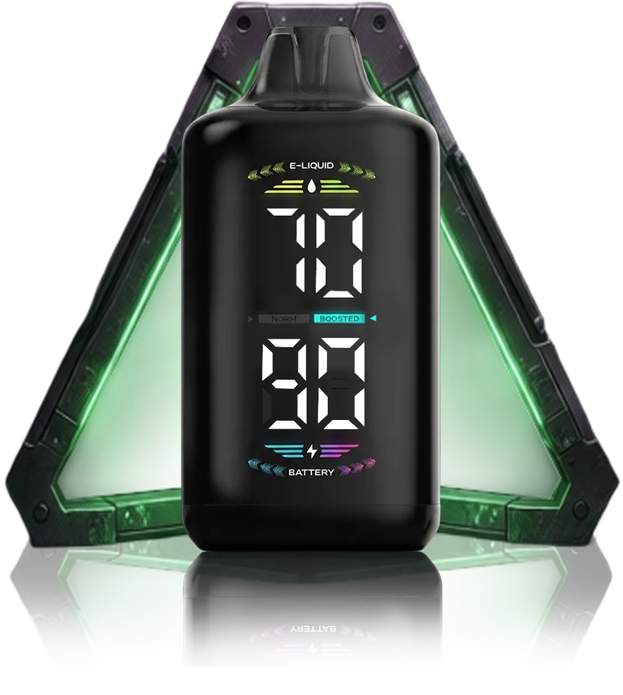 OLED DISPLAY